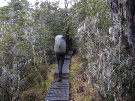Přes mokřady jsou vedeny dřevěné chodníčky
