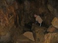 /album/fotogalerie1/album1028-jpg/