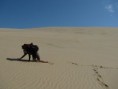 /album/fotogalerie1/album1053-jpg/