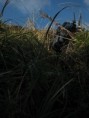 /album/fotogalerie1/album1059-jpg/