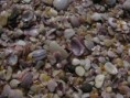 /album/fotogalerie1/album1062-jpg/