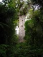 /album/fotogalerie1/album1070-jpg/