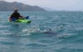 /album/kaikoura/kaikoura-21-jpg/